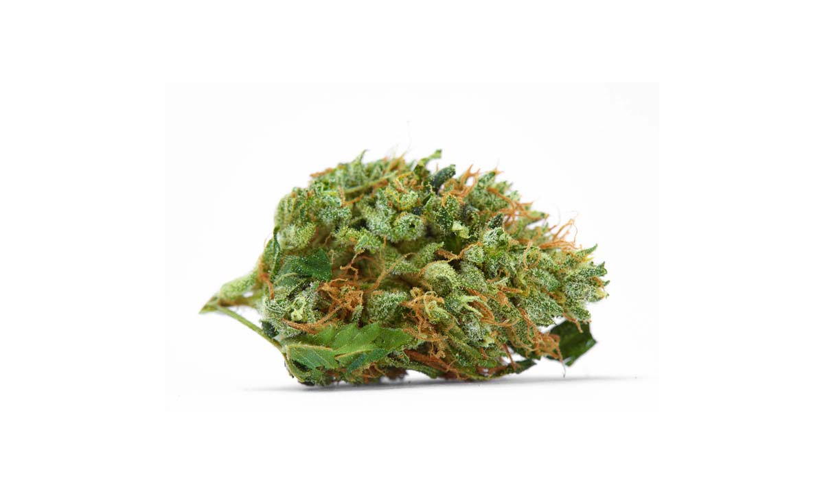 Blue Sorten: Top 15 Strains – Liste, Namen, Wirkung & Herkunft