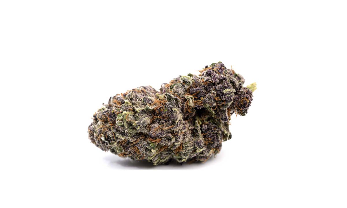 Goofiez: Sorte, Aroma, Wirkung & THC Gehalt