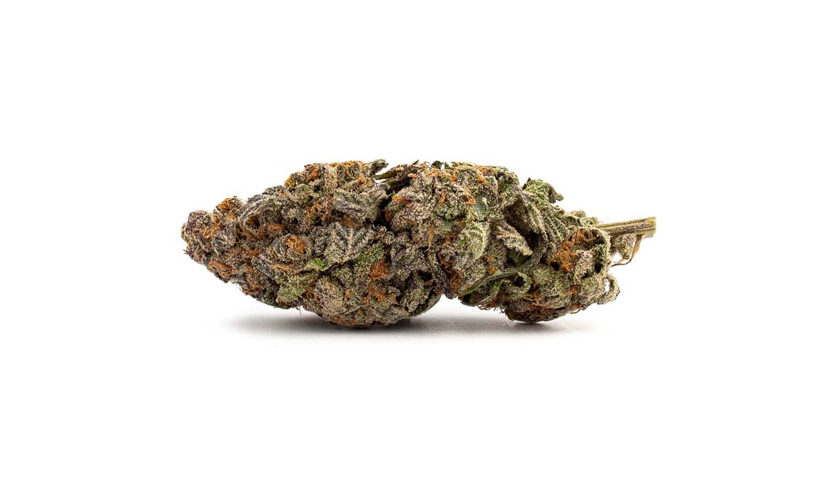 Duke: Sorte, Aroma & THC Gehalt