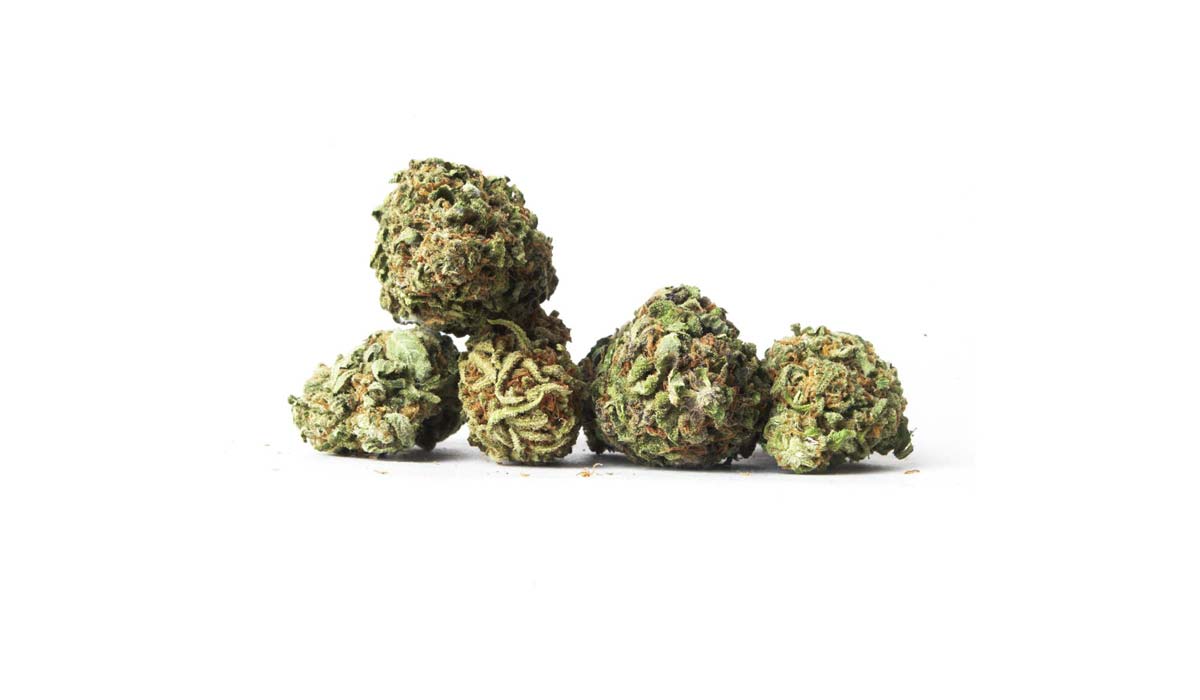 Maui Wowie: Sorte, Aroma & THC Gehalt