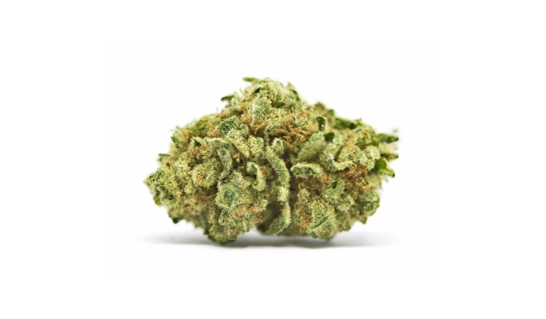 Cannabis Microdosing: Effekte, Anwendung & Recht