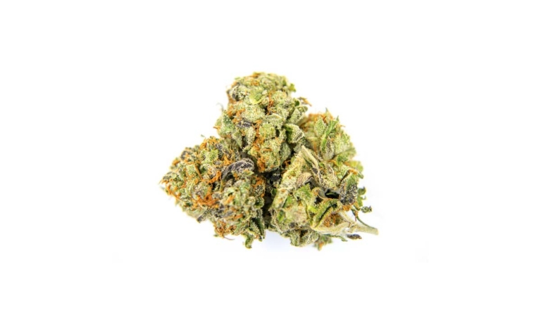 CBD Creme: Anwendung, Linderung, Erfahrung & Inhaltsstoffe erklärt