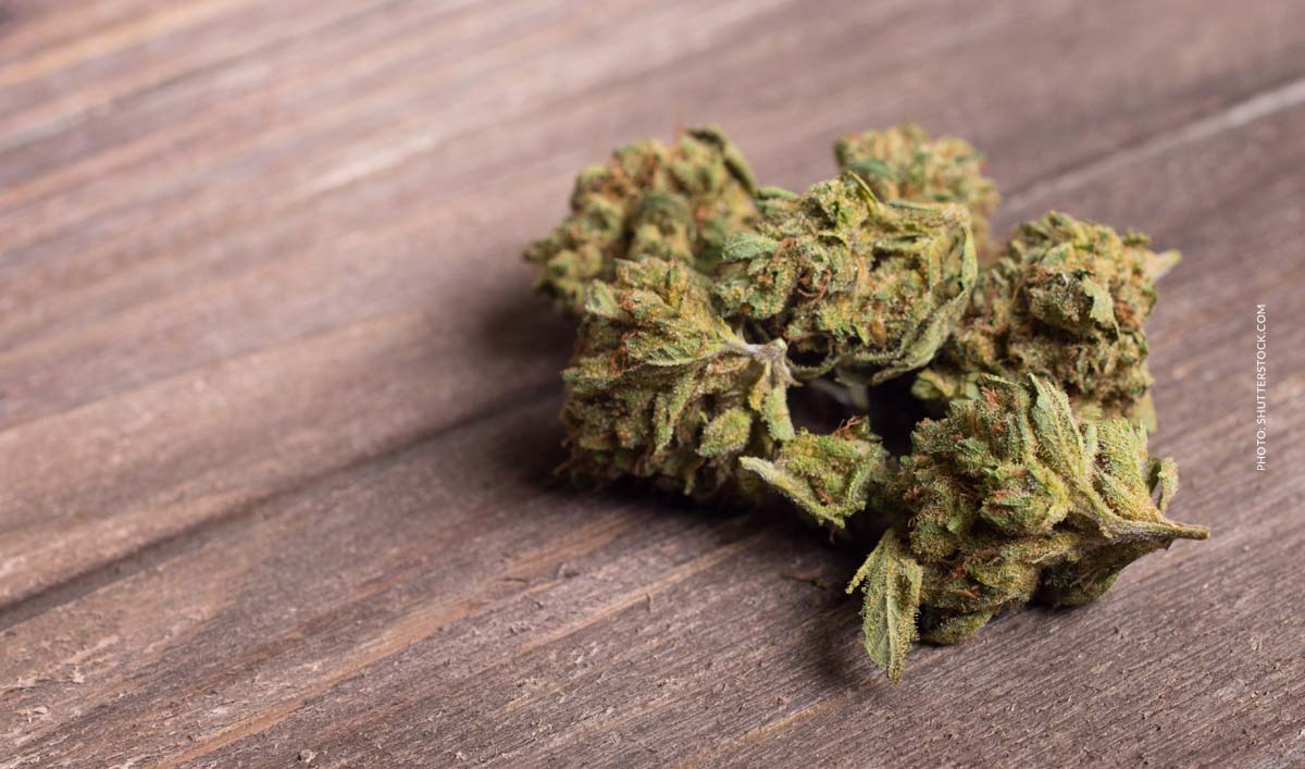 Cannamedical Indica Ultra Mintwave: Wirkung, Anwendung & Erfahrung