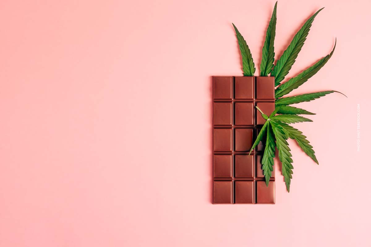 Zkittelz: Sorte, Aroma & THC Gehalt