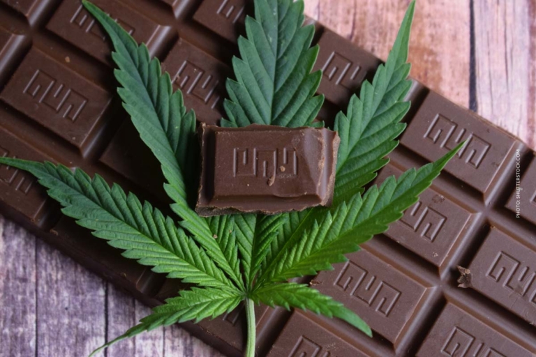 Cannabis in der Schweiz: Gesetz, Medizin & Potenzial
