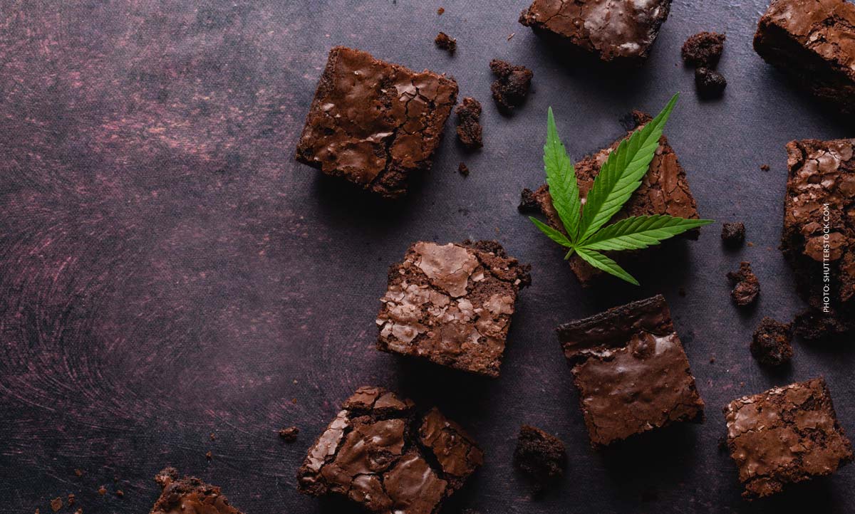 Cannabis Brownies: Rezept, Backen, Genuss & Dosierung