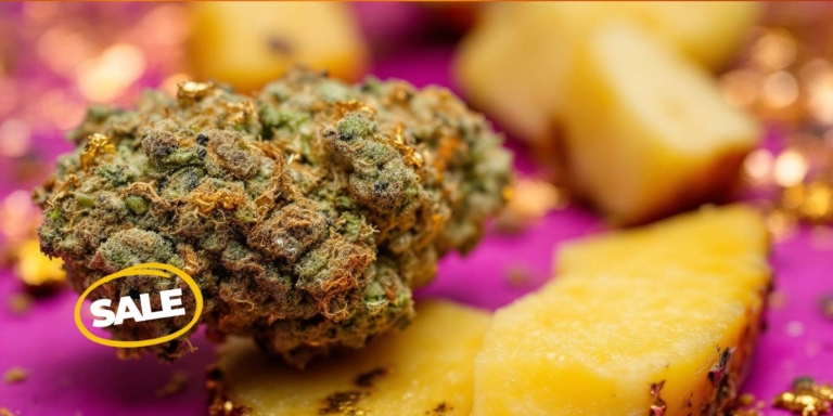 Cannabis Arzt Reutlingen: Behandlung, Therapie & Beratung