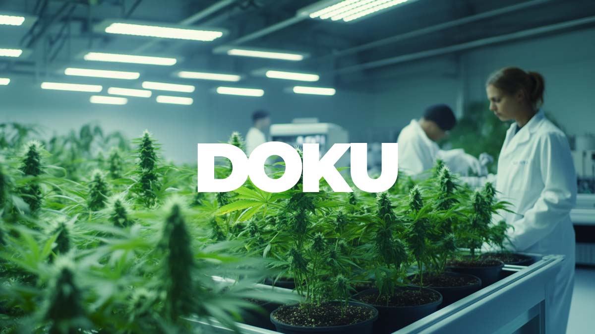 Cannabis Arzt Rostock: Behandlung, Therapie, Begleitung & Cannabispatienten