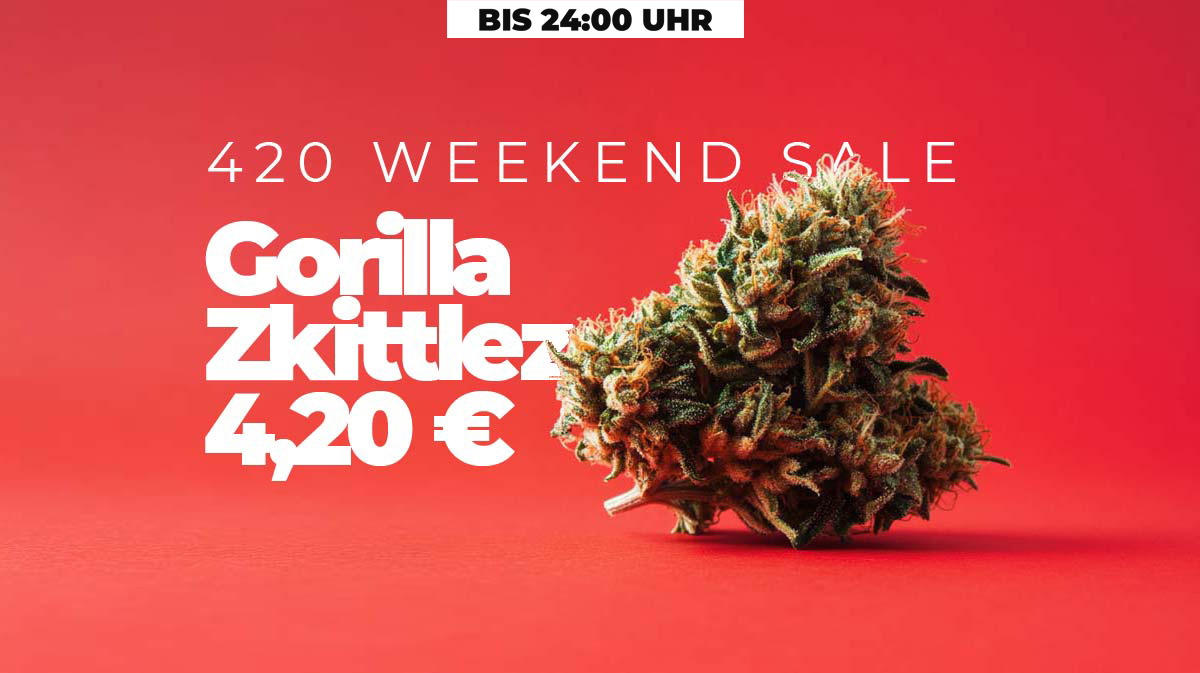 Phyto Hemp: Hersteller, Blüten, Sorten & Liste