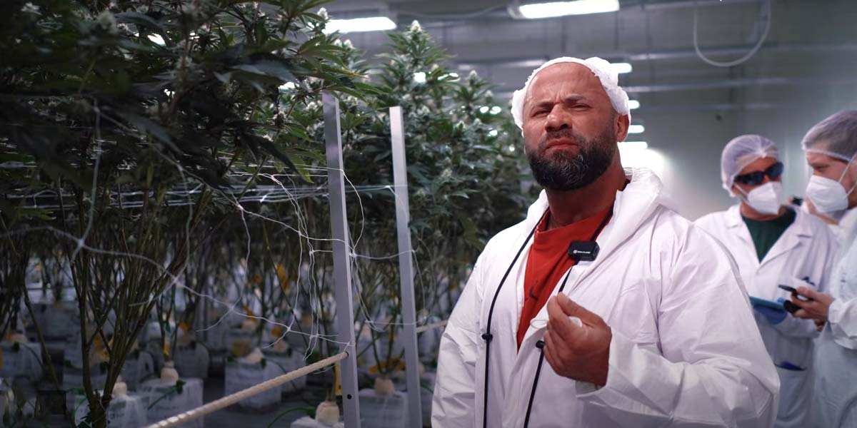 Strain Hunter Germany: Doku kostenlos streamen! Cannabis, Kiffen, Social Clubs – Deutschland Tour