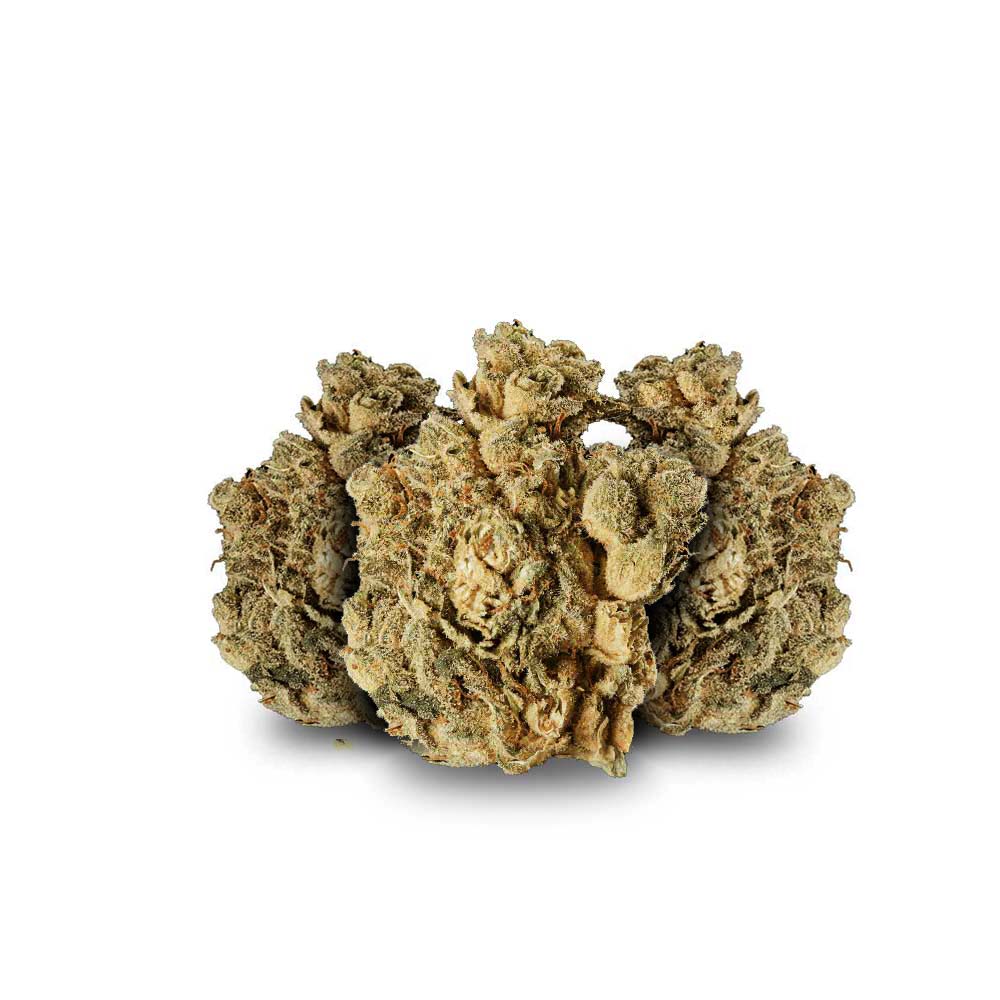 Shop Cannabis Rezept Cannabisblute Blute Private Banana Weed Bestellen Kaufen Buds