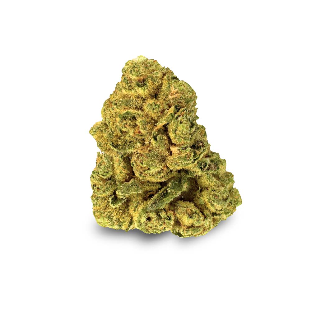 Bud Big Purple Dragon Shop