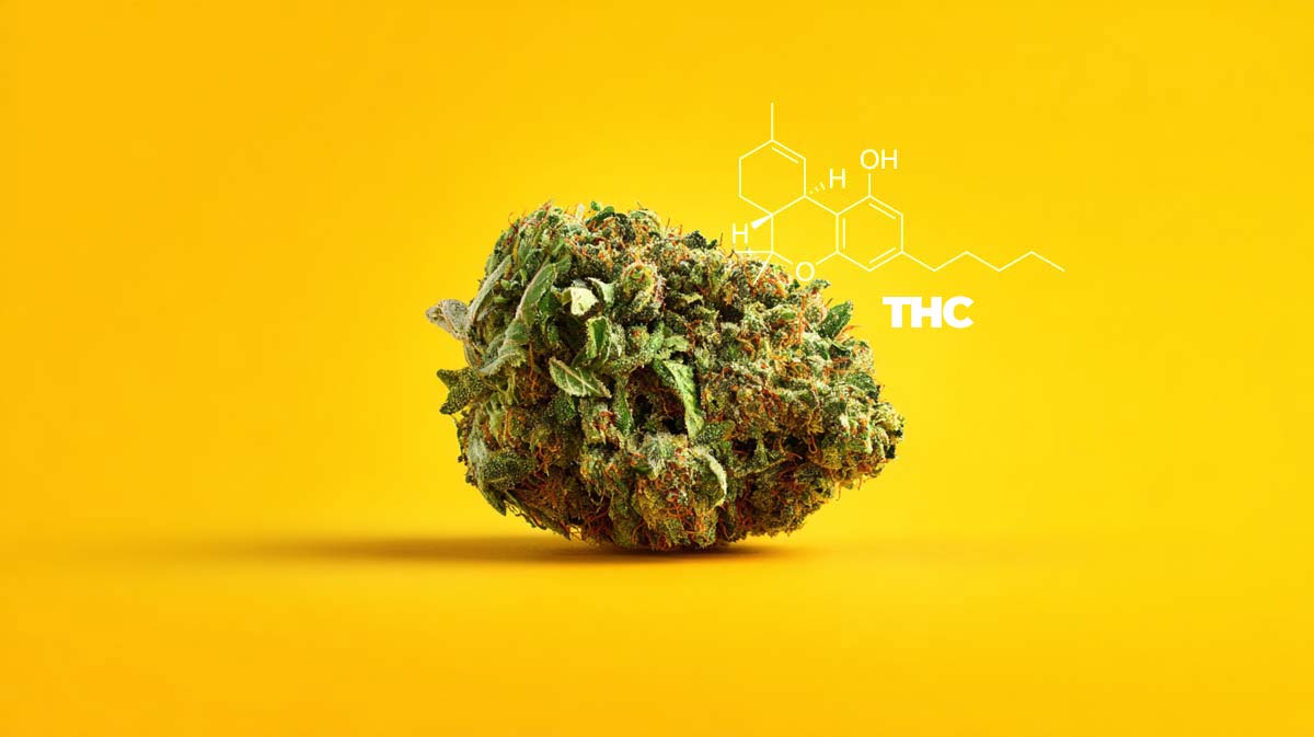 CBN Cannabinol: Wirkung, Entspannung, Schlaf & Forschungsergebnisse