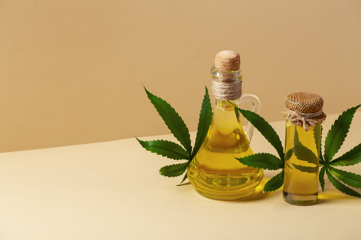 Cannabis Kochen & Backen: 1.400+ schnelle, einfache Rezepte für jeden Tag