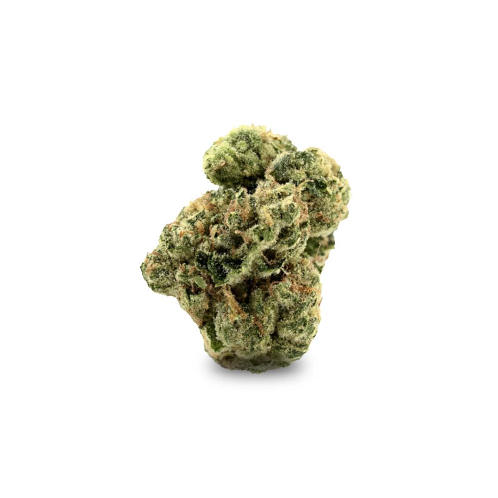 Cannabis Blute Shop Girl Scout Kush Bestellen Rezept Online Berlin